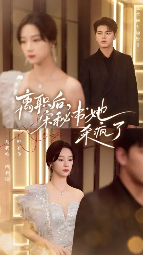 《离职后,宋秘书她杀疯了》:职场复仇爽剧,看她如何逆袭人生!