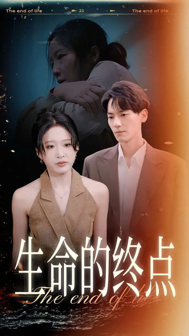 《生命的终点》:一场关于告别与希望的深刻旅程,直面死亡,拥抱新生