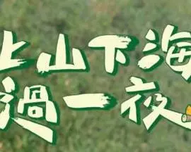 《上山下海过一夜》:一场治愈心灵的旅行,探索未知的自然奇观与人生真谛